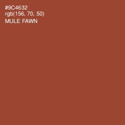#9C4632 - Mule Fawn Color Image